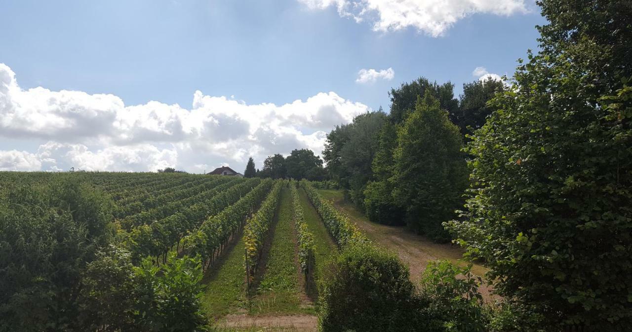 Naehe Mainz - Ferienwohnung - Apartment Breivogel In Woerrstadt Luaran gambar